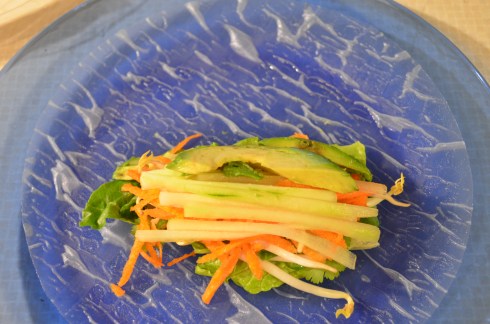 Vietnamese Spring Rolls