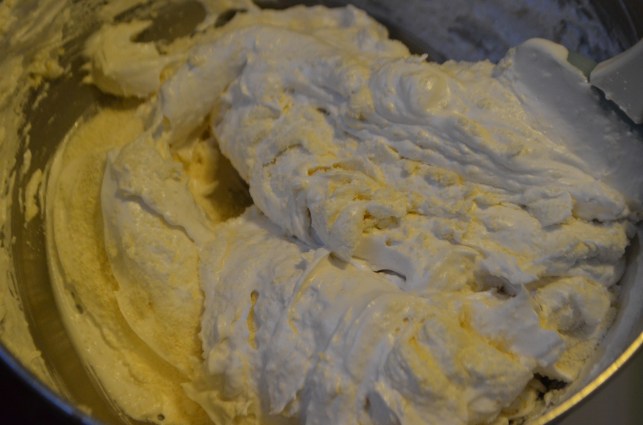 Vegan Macaron Troubleshooting