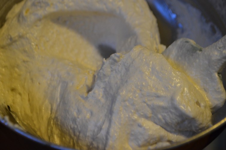 Vegan Macaron Troubleshooting