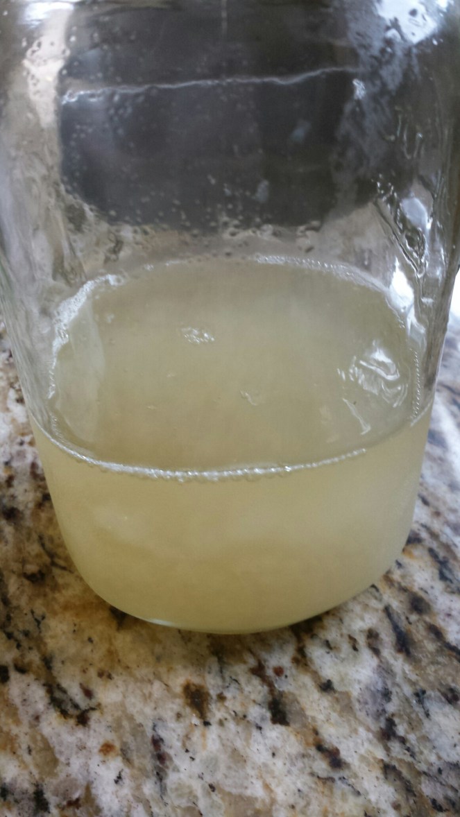 Vegan Macaron Troubleshooting