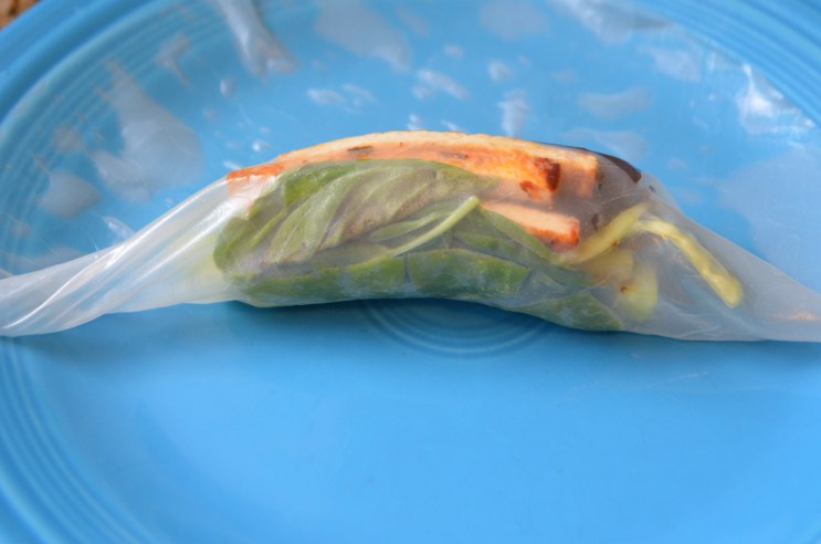 Eggplant and Spicy Tofu Spring Rolls